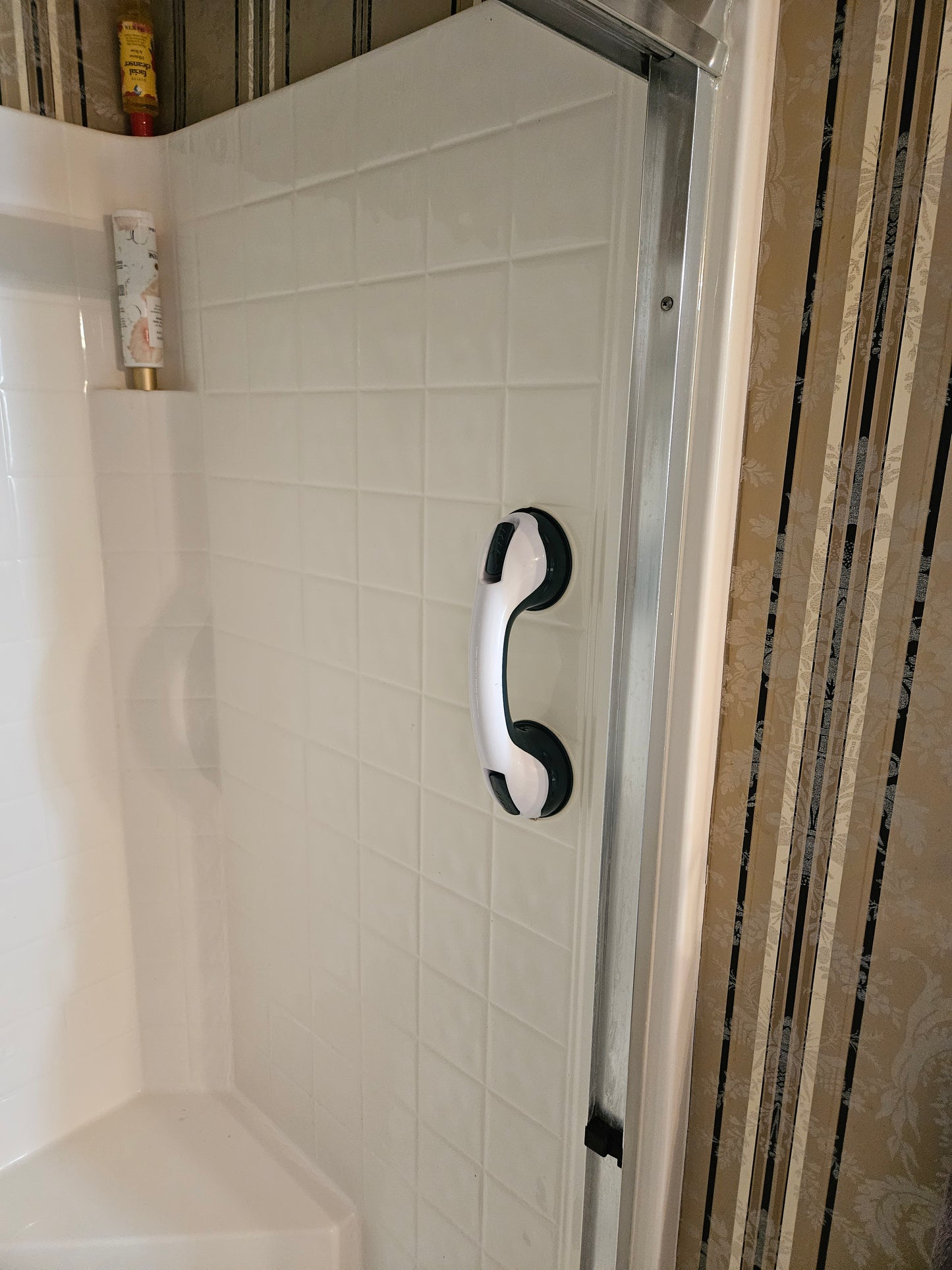 Suction Mount Bath Grip Handle